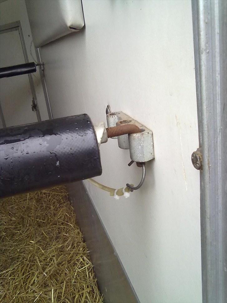 Kristine&Kristina's Trailer. - Bagbum højre side. billede 11