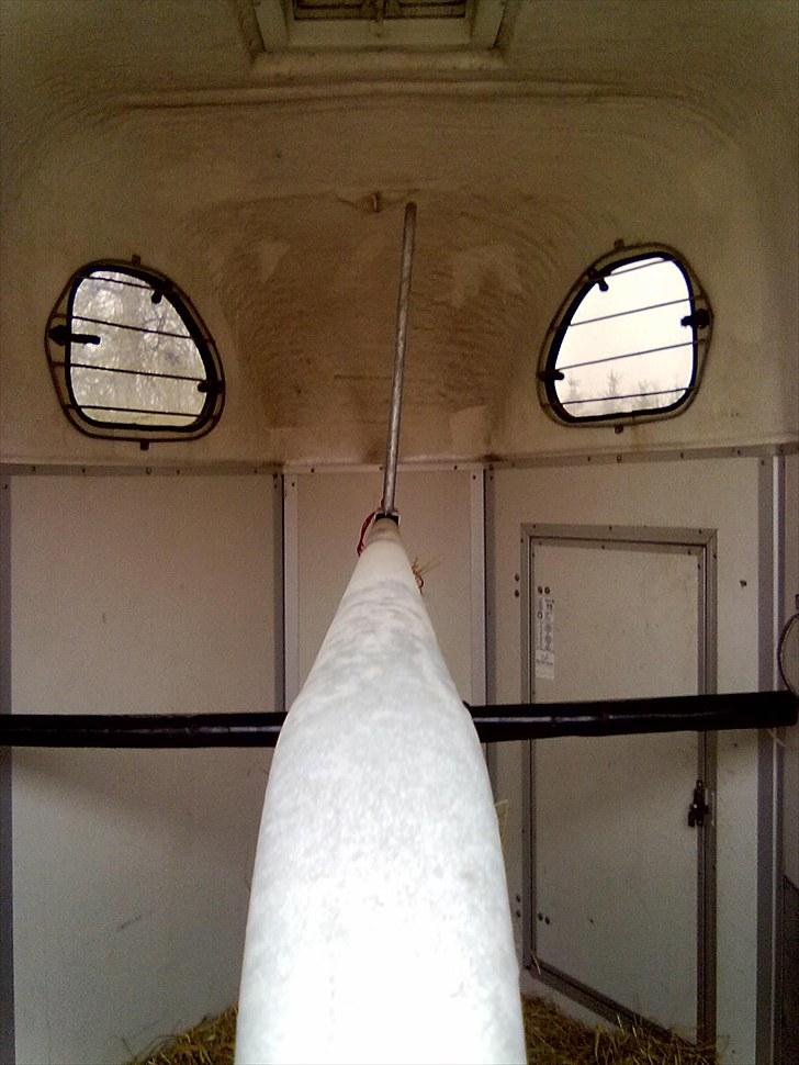 Kristine&Kristina's Trailer. - Forrest i traileren.
- den er ikke støvet af ;) billede 15