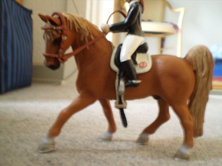 Billeder fra Truppa´s første stævne (Schleich) - Flot program billede 1