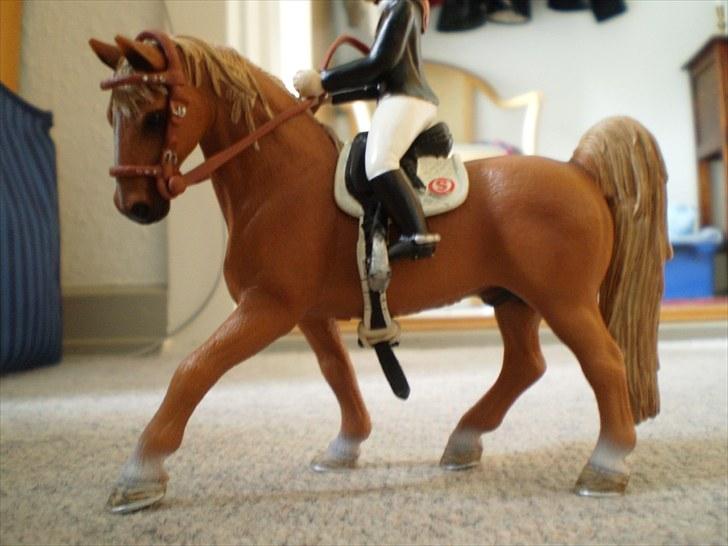 Billeder fra Truppa´s første stævne (Schleich) billede 2