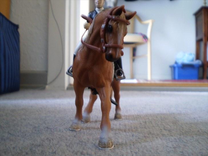 Billeder fra Truppa´s første stævne (Schleich) billede 3