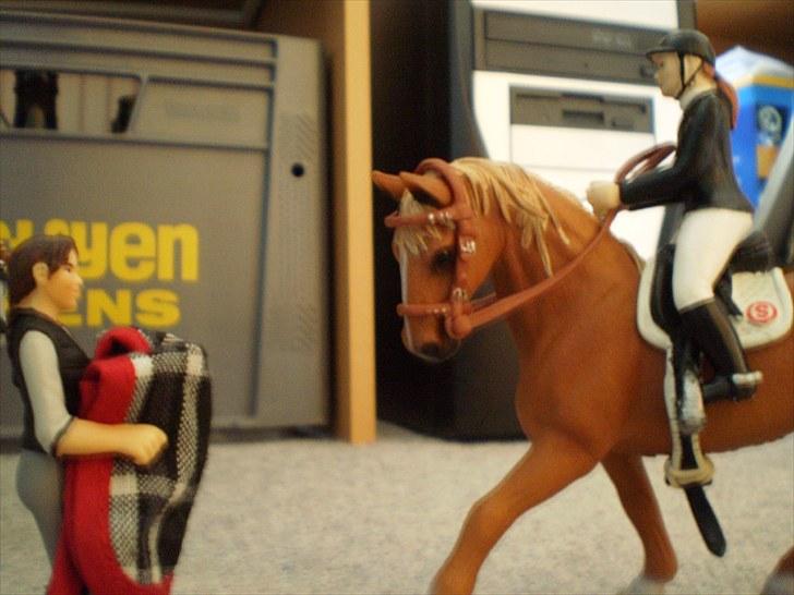 Billeder fra Truppa´s første stævne (Schleich) - Får lige dækken på billede 4