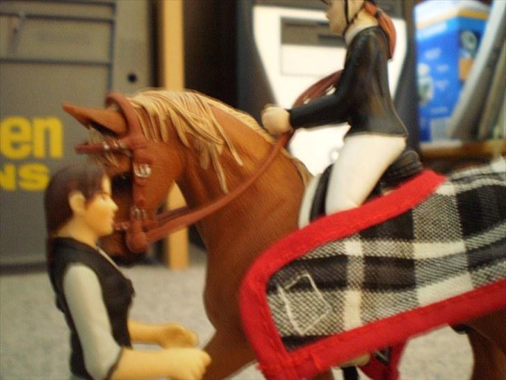 Billeder fra Truppa´s første stævne (Schleich) billede 5