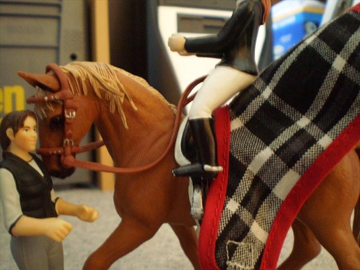 Billeder fra Truppa´s første stævne (Schleich) billede 6