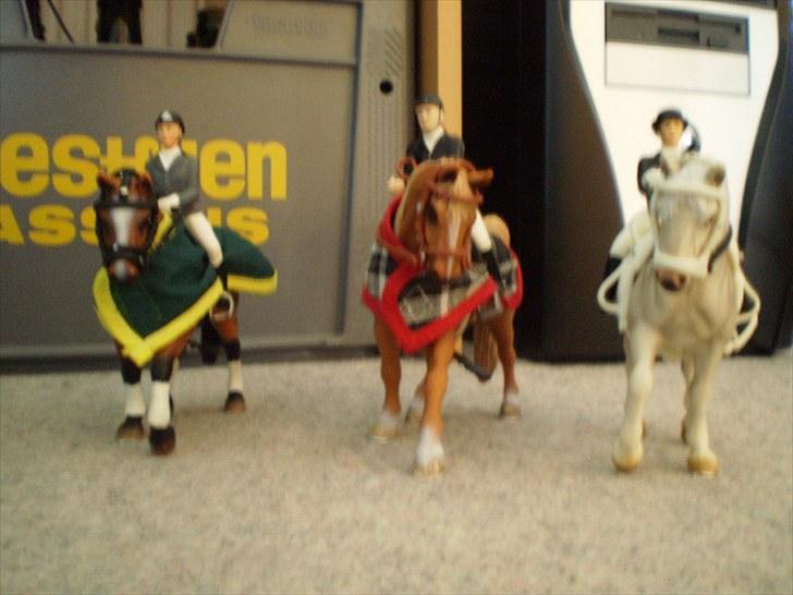 Billeder fra Truppa´s første stævne (Schleich) - Præmie overakkelse billede 8