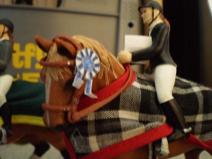 Billeder fra Truppa´s første stævne (Schleich) - En flot andenplads billede 9