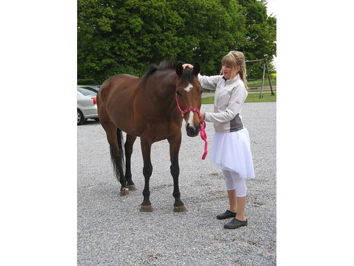 {{currentPhoto.altText}} billede {{currentPhoto.number}}