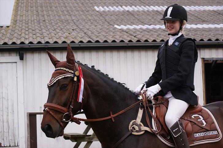 Stævne på Stevns rideklub D. 16/5-10 LJ-Foto billede 1
