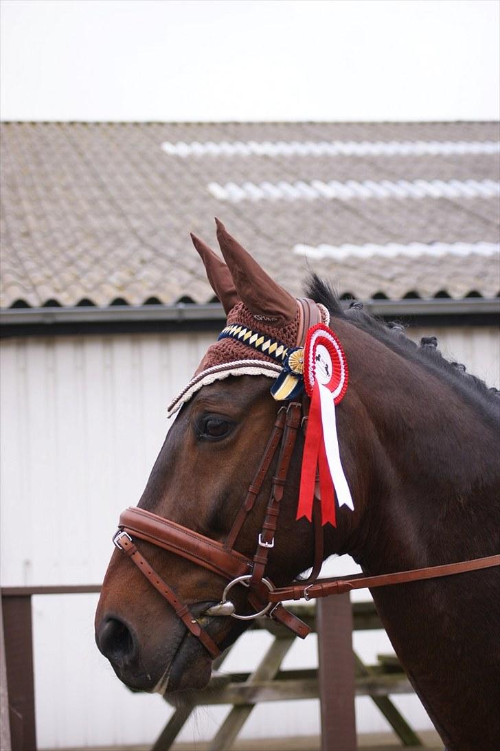 Stævne på Stevns rideklub D. 16/5-10 LJ-Foto billede 6