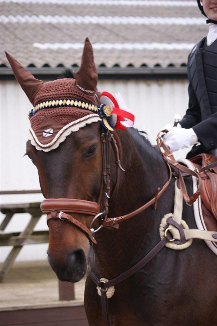 Stævne på Stevns rideklub D. 16/5-10 LJ-Foto billede 7