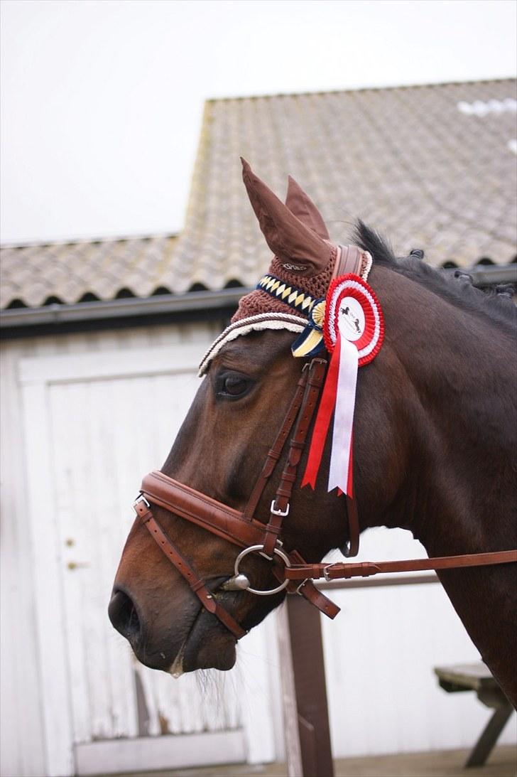 Stævne på Stevns rideklub D. 16/5-10 LJ-Foto billede 8