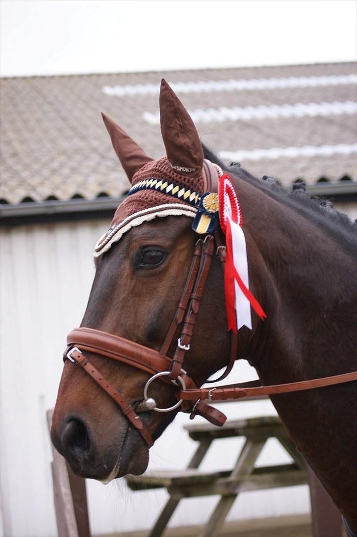 Stævne på Stevns rideklub D. 16/5-10 LJ-Foto billede 9