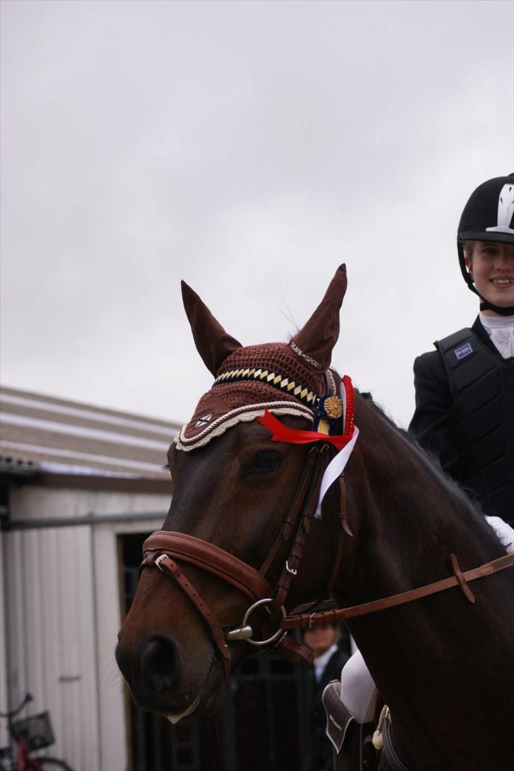 Stævne på Stevns rideklub D. 16/5-10 LJ-Foto billede 11