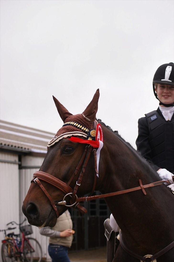 Stævne på Stevns rideklub D. 16/5-10 LJ-Foto billede 12