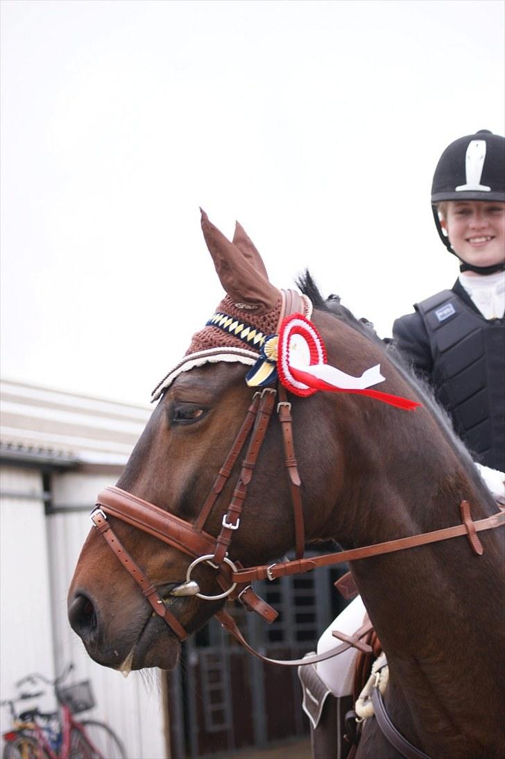 Stævne på Stevns rideklub D. 16/5-10 LJ-Foto billede 13