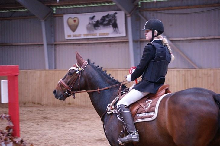 Stævne på Stevns rideklub D. 16/5-10 LJ-Foto billede 15