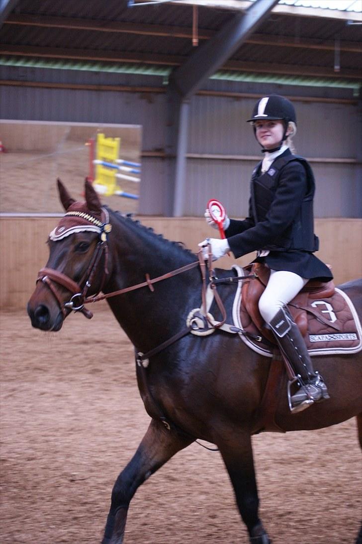 Stævne på Stevns rideklub D. 16/5-10 LJ-Foto billede 16