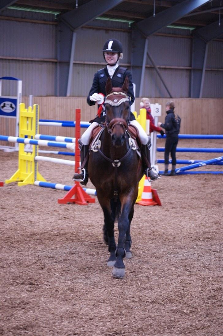 Stævne på Stevns rideklub D. 16/5-10 LJ-Foto billede 18