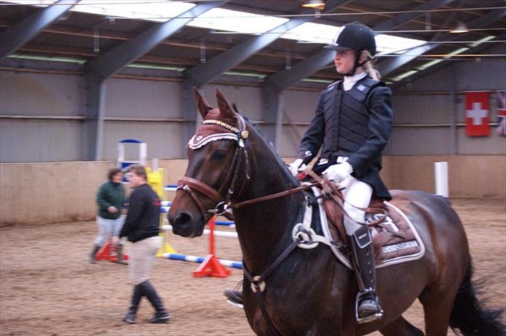 Stævne på Stevns rideklub D. 16/5-10 LJ-Foto billede 21