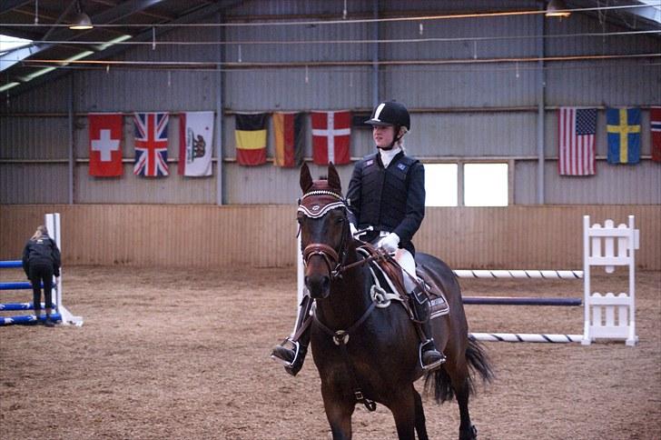 Stævne på Stevns rideklub D. 16/5-10 LJ-Foto billede 22
