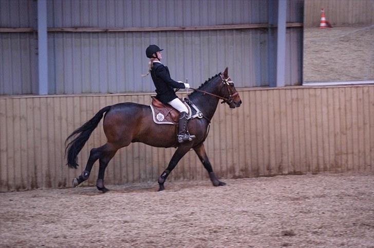 Stævne på Stevns rideklub D. 16/5-10 LJ-Foto billede 23