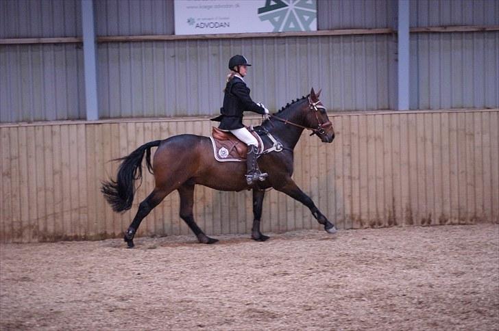 Stævne på Stevns rideklub D. 16/5-10 LJ-Foto billede 24