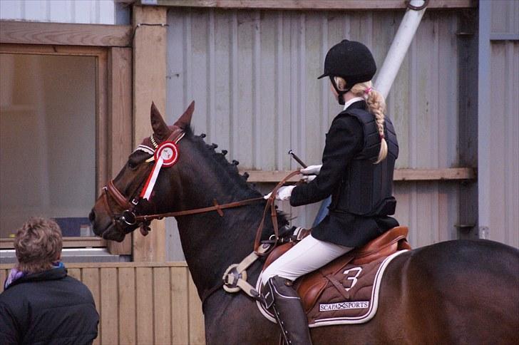 Stævne på Stevns rideklub D. 16/5-10 LJ-Foto billede 25