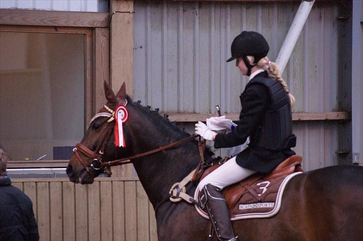 Stævne på Stevns rideklub D. 16/5-10 LJ-Foto billede 26