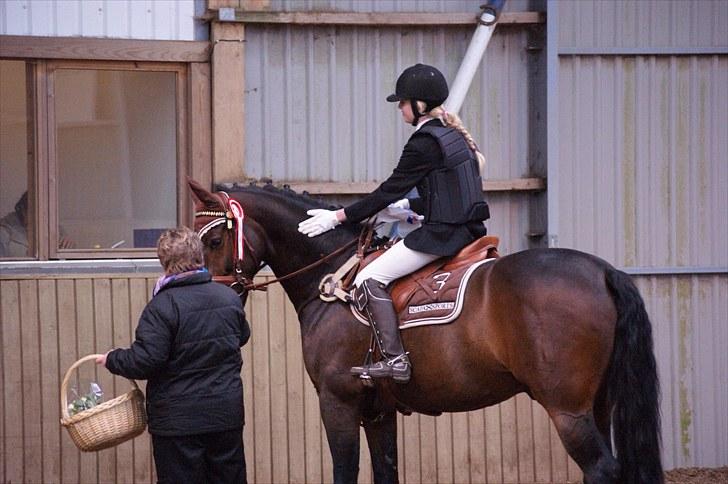 Stævne på Stevns rideklub D. 16/5-10 LJ-Foto billede 27