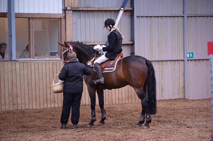 Stævne på Stevns rideklub D. 16/5-10 LJ-Foto billede 28