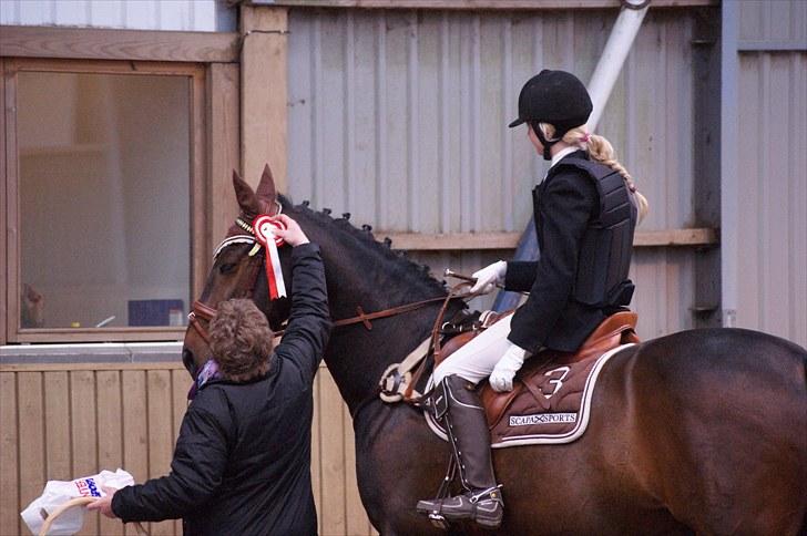Stævne på Stevns rideklub D. 16/5-10 LJ-Foto billede 29