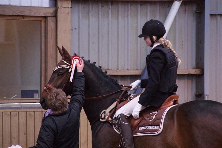 Stævne på Stevns rideklub D. 16/5-10 LJ-Foto billede 30