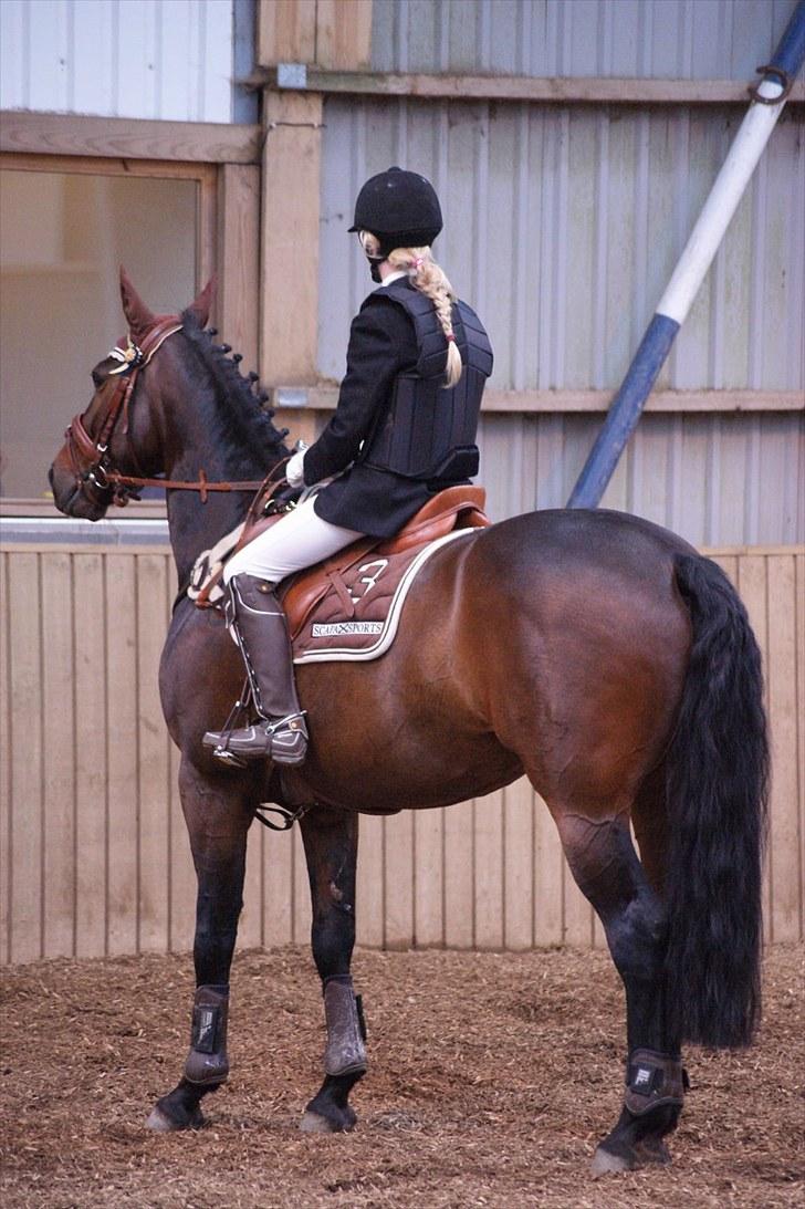 Stævne på Stevns rideklub D. 16/5-10 LJ-Foto billede 31