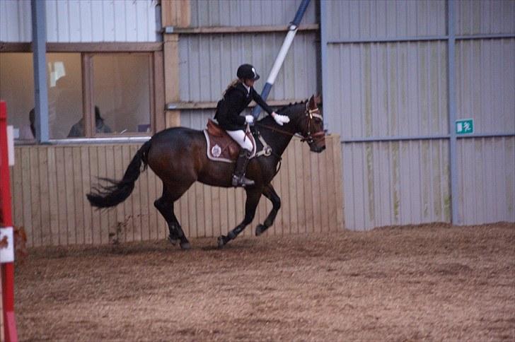 Stævne på Stevns rideklub D. 16/5-10 LJ-Foto billede 32