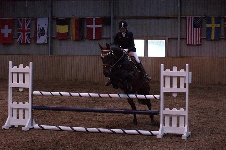 Stævne på Stevns rideklub D. 16/5-10 LJ-Foto billede 33