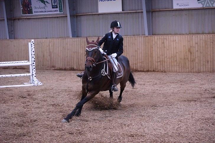 Stævne på Stevns rideklub D. 16/5-10 LJ-Foto billede 34