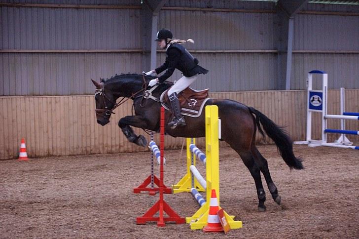 Stævne på Stevns rideklub D. 16/5-10 LJ-Foto billede 35
