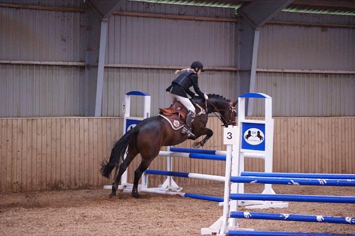 Stævne på Stevns rideklub D. 16/5-10 LJ-Foto billede 36