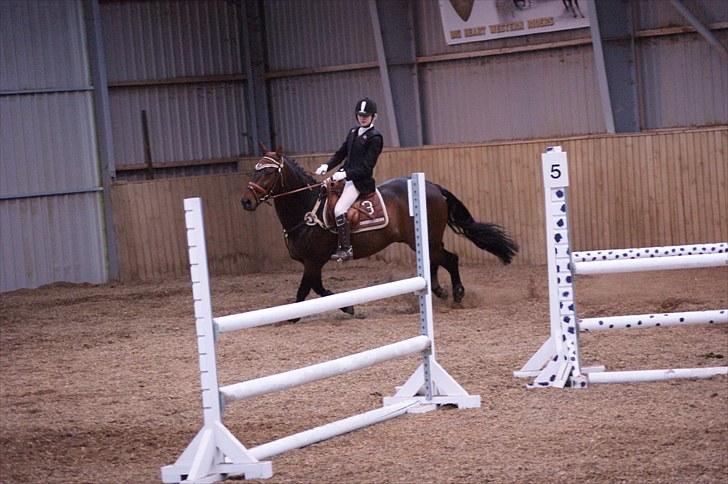 Stævne på Stevns rideklub D. 16/5-10 LJ-Foto billede 37