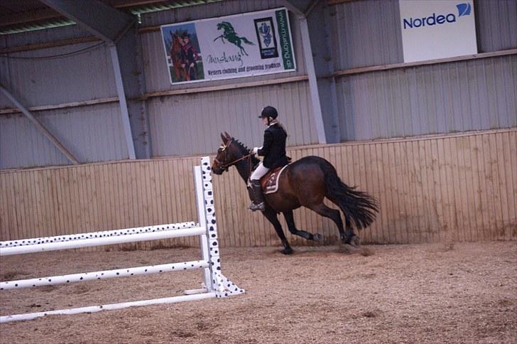 Stævne på Stevns rideklub D. 16/5-10 LJ-Foto billede 38