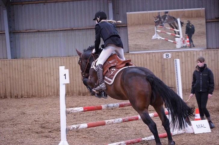 Stævne på Stevns rideklub D. 16/5-10 LJ-Foto billede 39