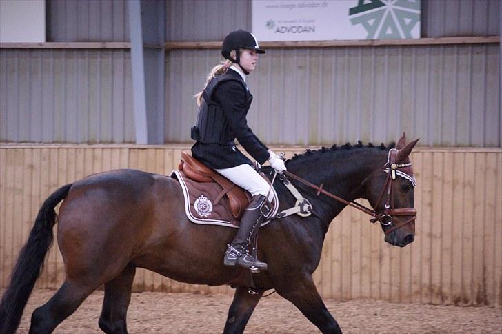 Stævne på Stevns rideklub D. 16/5-10 LJ-Foto billede 41