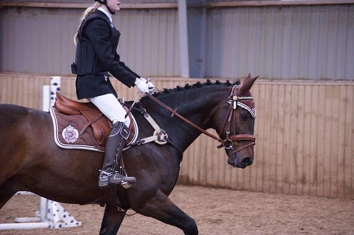 Stævne på Stevns rideklub D. 16/5-10 LJ-Foto billede 42