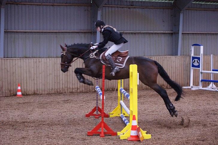 Stævne på Stevns rideklub D. 16/5-10 LJ-Foto billede 43