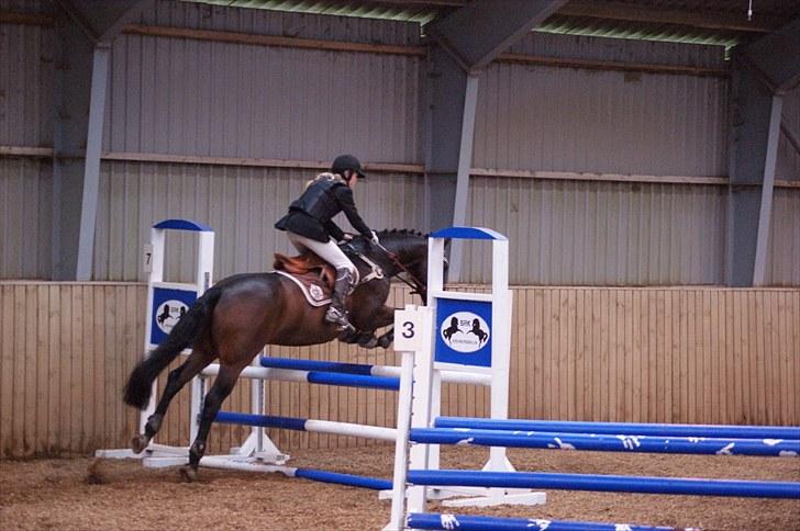 Stævne på Stevns rideklub D. 16/5-10 LJ-Foto billede 44