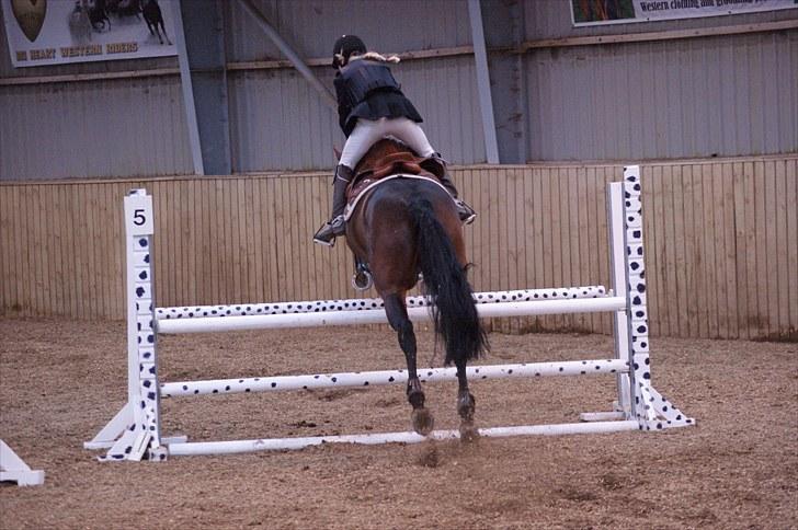 Stævne på Stevns rideklub D. 16/5-10 LJ-Foto billede 45