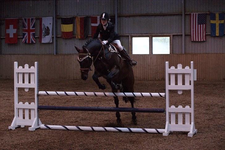 Stævne på Stevns rideklub D. 16/5-10 LJ-Foto billede 46