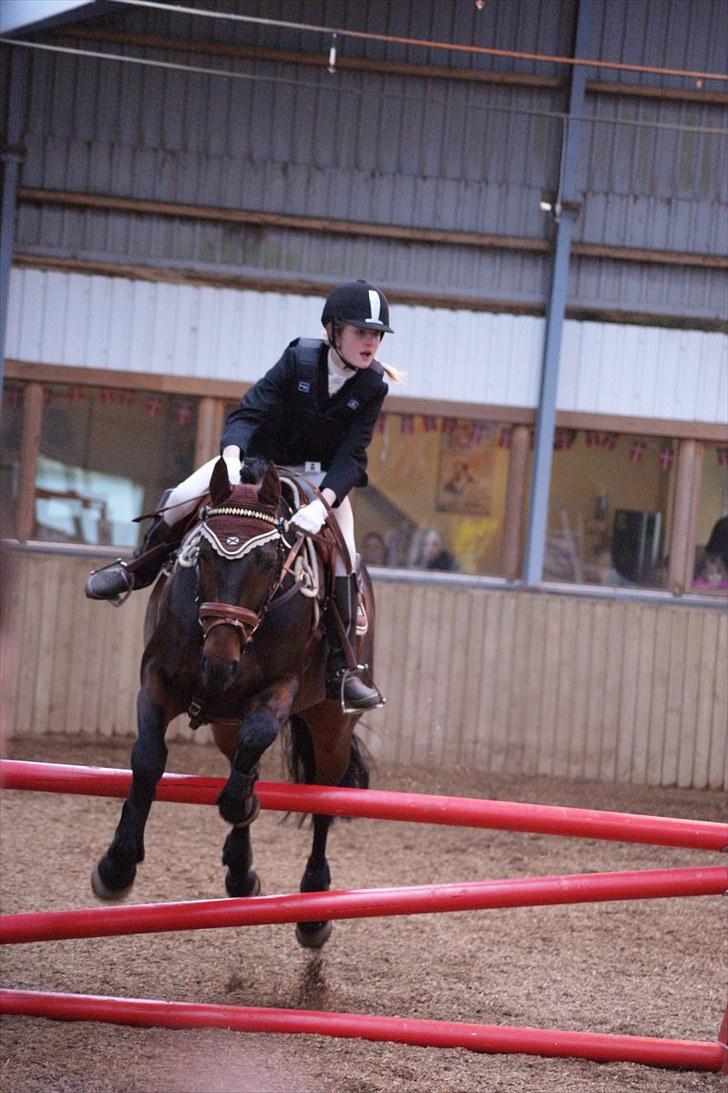 Stævne på Stevns rideklub D. 16/5-10 LJ-Foto billede 48