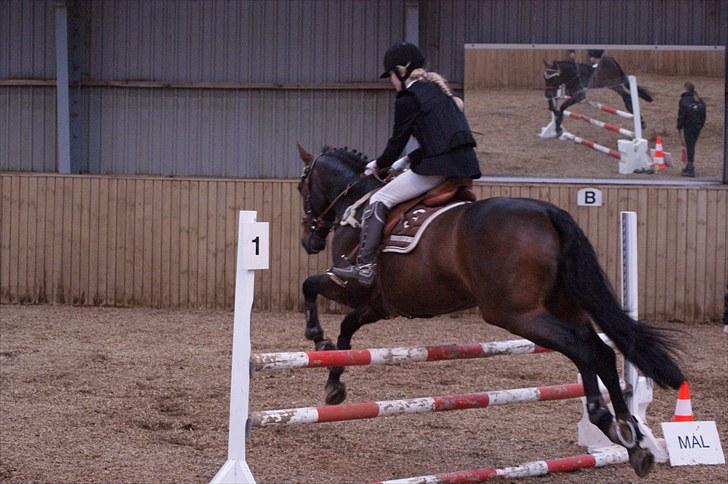 Stævne på Stevns rideklub D. 16/5-10 LJ-Foto billede 49