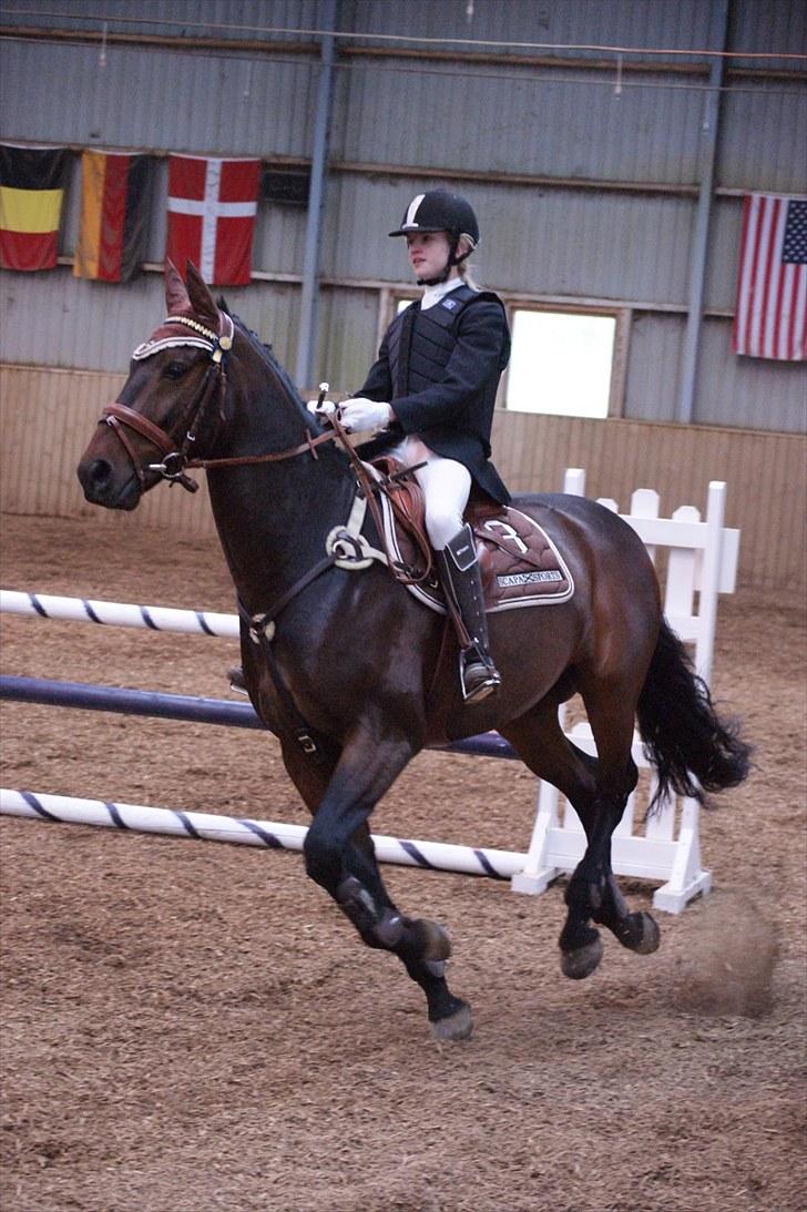 Stævne på Stevns rideklub D. 16/5-10 LJ-Foto billede 50